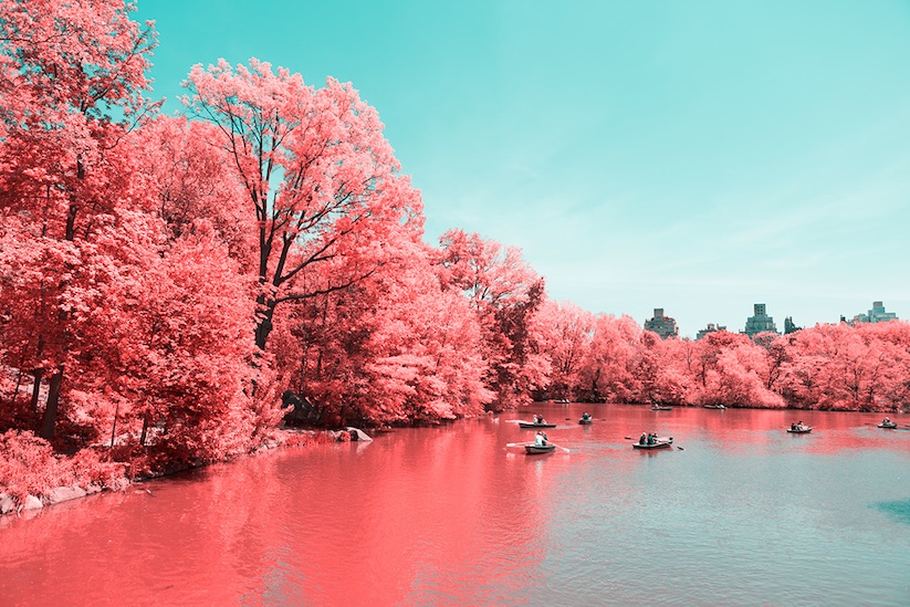INFRARED_NYC_Central_Park_Captured_from_a_Different_Perspective_by_Paolo_Pettigiani_2016_05