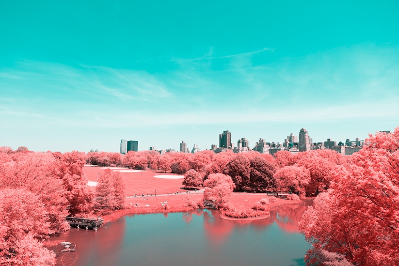 INFRARED_NYC_Central_Park_Captured_from_a_Different_Perspective_by_Paolo_Pettigiani_2016_06