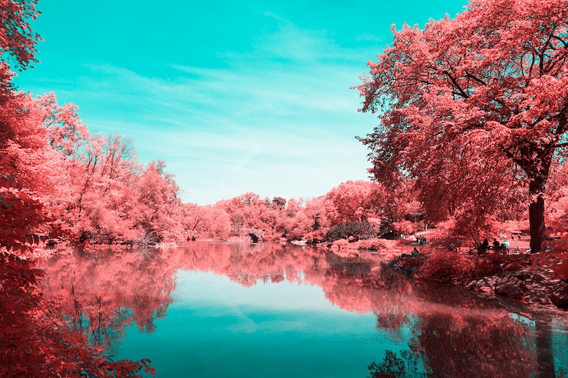 INFRARED_NYC_Central_Park_Captured_from_a_Different_Perspective_by_Paolo_Pettigiani_2016_09