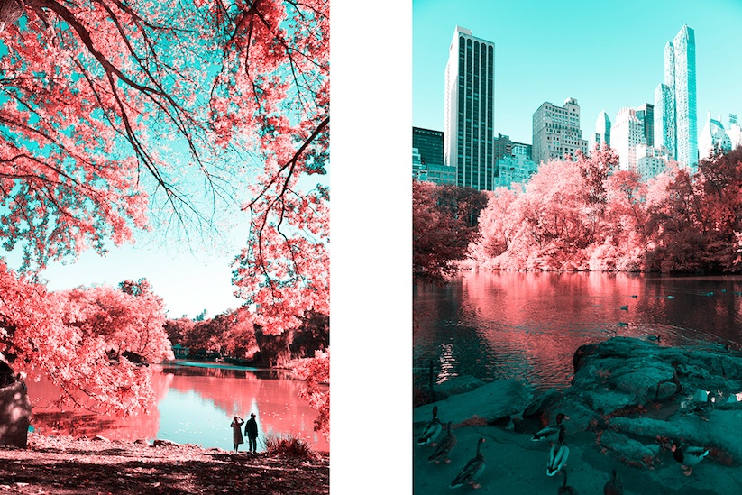 INFRARED_NYC_Central_Park_Captured_from_a_Different_Perspective_by_Paolo_Pettigiani_2016_10