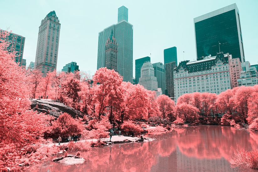 INFRARED_NYC_Central_Park_Captured_from_a_Different_Perspective_by_Paolo_Pettigiani_2016_11