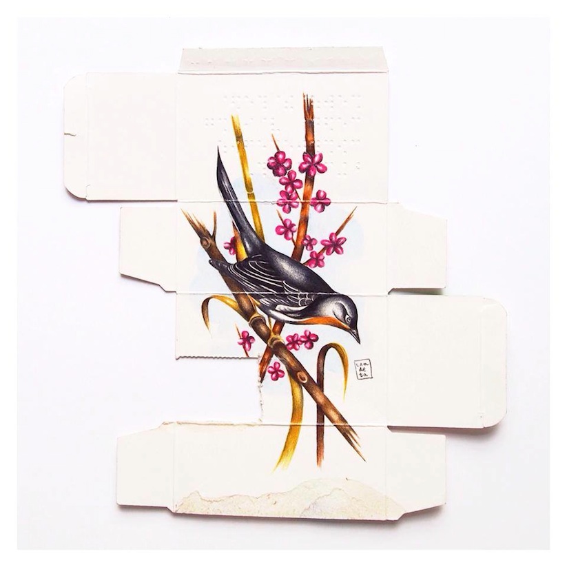 Medicine_as_Metaphor_Birds_Painted_on_Pharmaceutical_Packaging_by_Sara_Landeta_2016_05