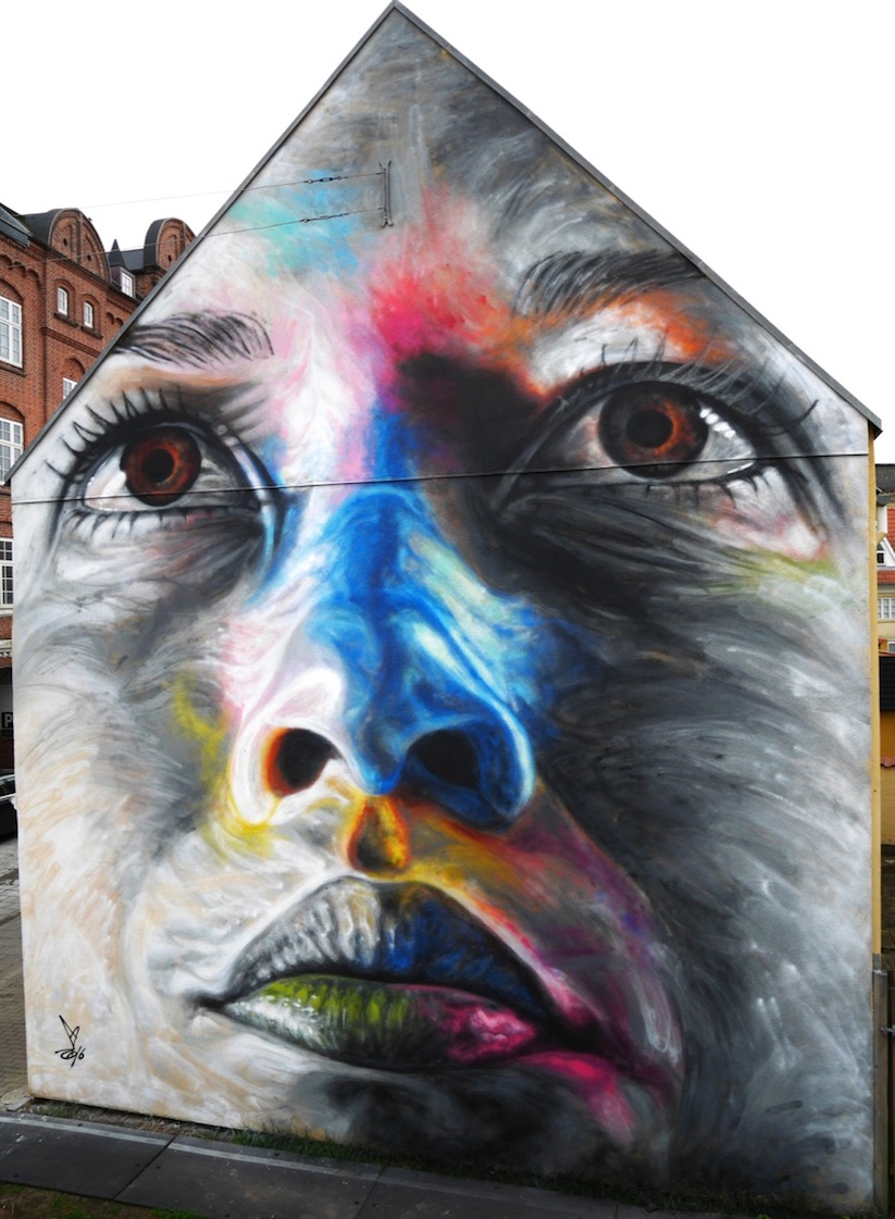 New_Colorful_Mural_by_Street_Artist_David_Walker_in_Aalborg_Denmark_2016_02