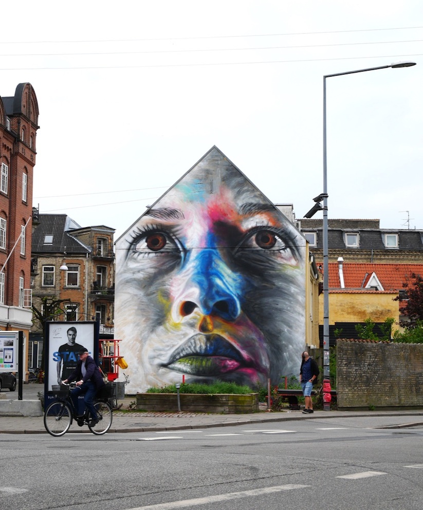 New_Colorful_Mural_by_Street_Artist_David_Walker_in_Aalborg_Denmark_2016_04