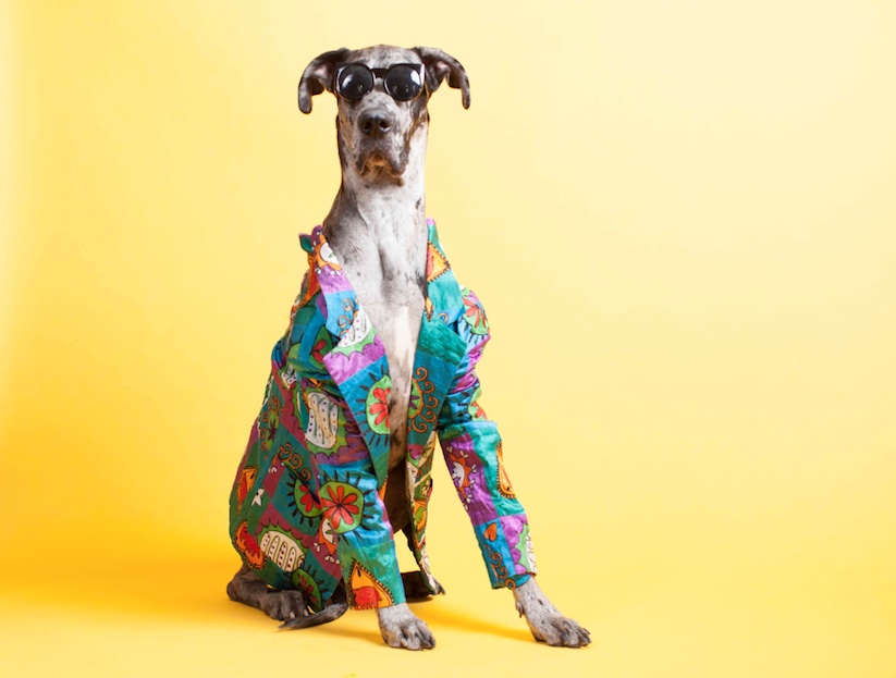 Chantal_Adair_Captures_the_most_Fashionable_Dogs_Around_the_World_2016_07
