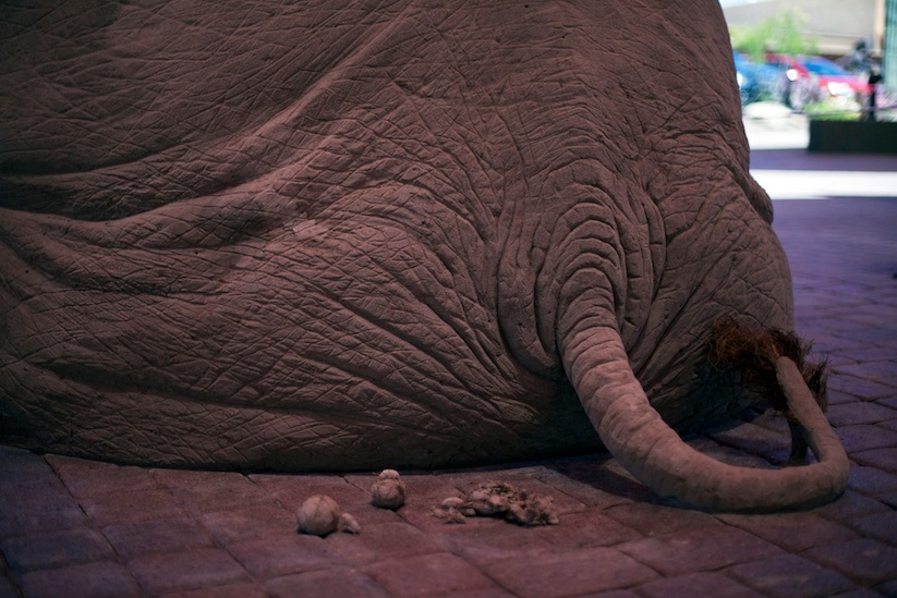Impressive_Sand_Sculpture_Of_A_Life_Size_Elephant_Playing_Chess_With_A_Mouse_2016_08