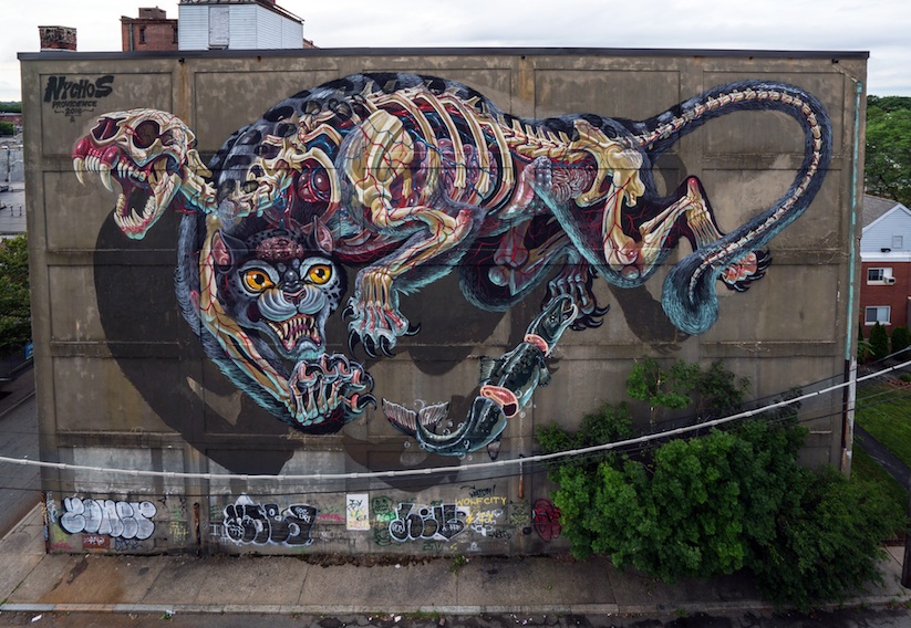 Master_Battlecat_Massive_New_Mural_by_Street_Artist_Nychos_in_Providence_USA_2016_01
