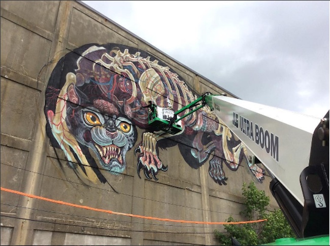 Master_Battlecat_Massive_New_Mural_by_Street_Artist_Nychos_in_Providence_USA_2016_05
