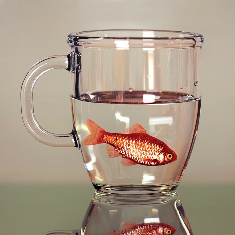hyperrealistic_oil_paintings_of_frogs_goldfish_and_snails_by_young_sung_kim_2016_09
