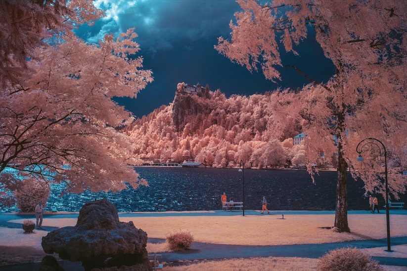 inframunk_surreal_infrared_nature_photography_by_artist_gmunk_2016_01