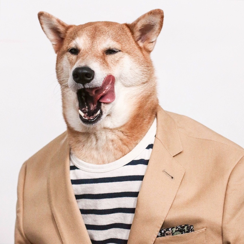 Meet_Bodhi_New_Pictures_of_the_Dapper_Dog_Dressed_in_Most_Stylish_Menswear_2016_03