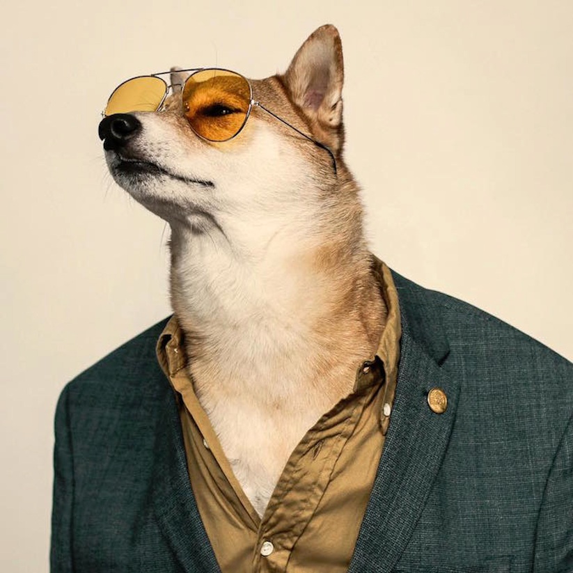 Meet_Bodhi_New_Pictures_of_the_Dapper_Dog_Dressed_in_Most_Stylish_Menswear_2016_08