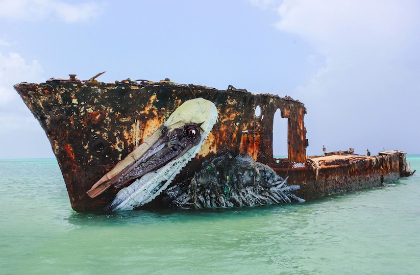 pelican_awesome_aquatic_installation_made_of_trash_by_bordalo_ii_in_aruba_2016_01