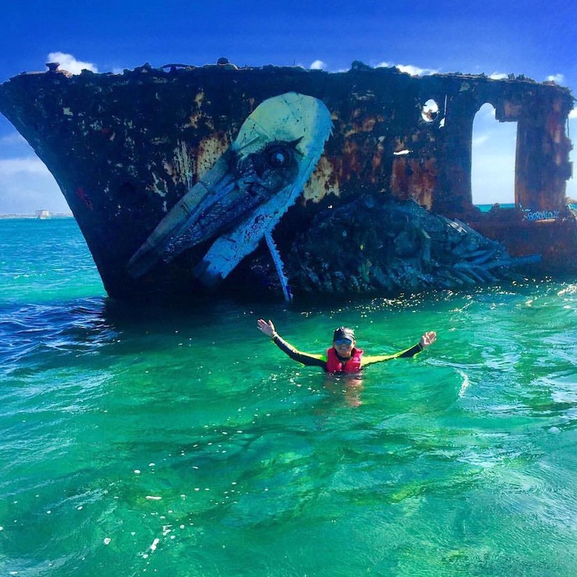 pelican_awesome_aquatic_installation_made_of_trash_by_bordalo_ii_in_aruba_2016_03