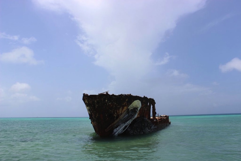 pelican_awesome_aquatic_installation_made_of_trash_by_bordalo_ii_in_aruba_2016_05