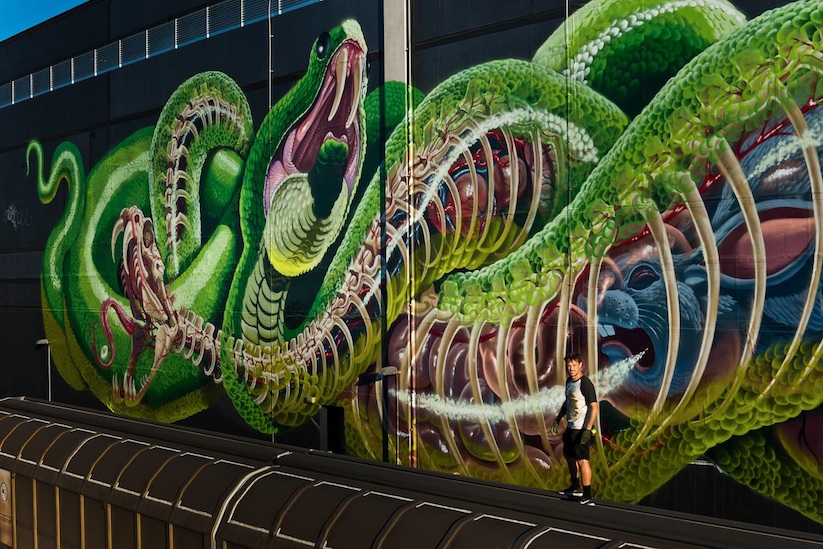 Translucent_Serpent_New_Mural_by_Street_Artist_Nychos_in_Linz_Austria_2016_02