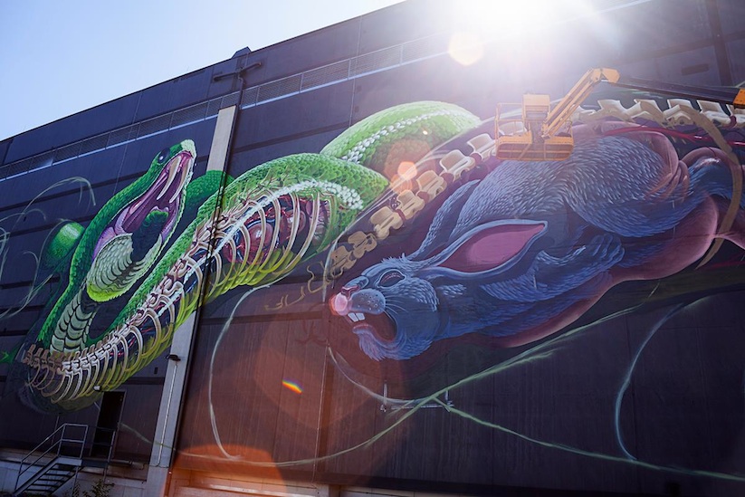 Translucent_Serpent_New_Mural_by_Street_Artist_Nychos_in_Linz_Austria_2016_03