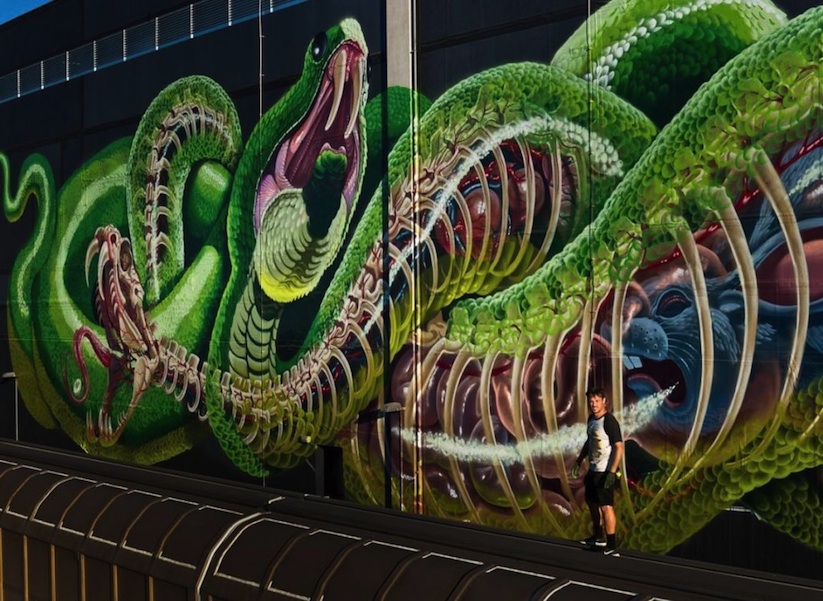 Translucent_Serpent_New_Mural_by_Street_Artist_Nychos_in_Linz_Austria_2016_07