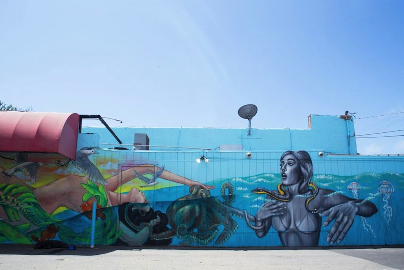 pangeaseed_sea_walls_murals_for_oceans_2016_in_san_diego_california_2016_03