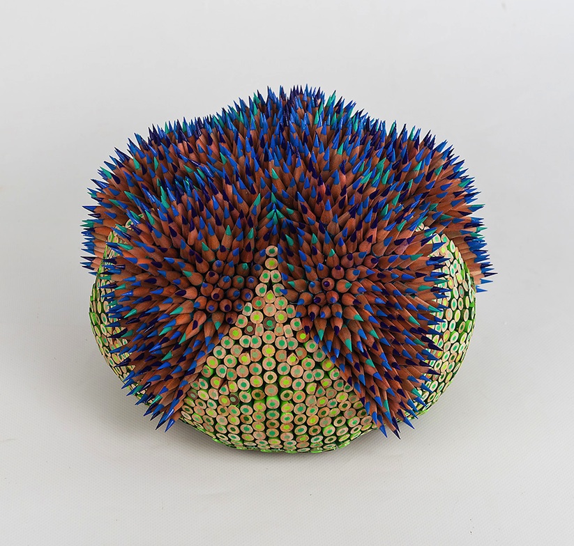 pencil_sculptures_inspired_by_the_form_and_function_of_the_sea_urchin_2016_13