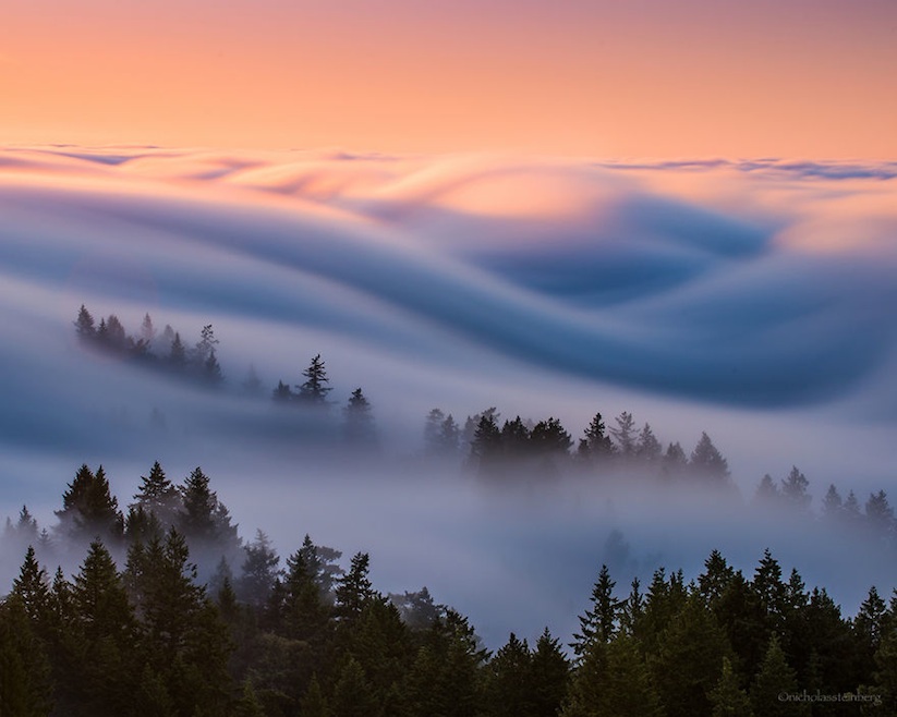 fogaholics_nick_steinberg_captures_fog_waves_around_the_san_francisco_area_2016_05