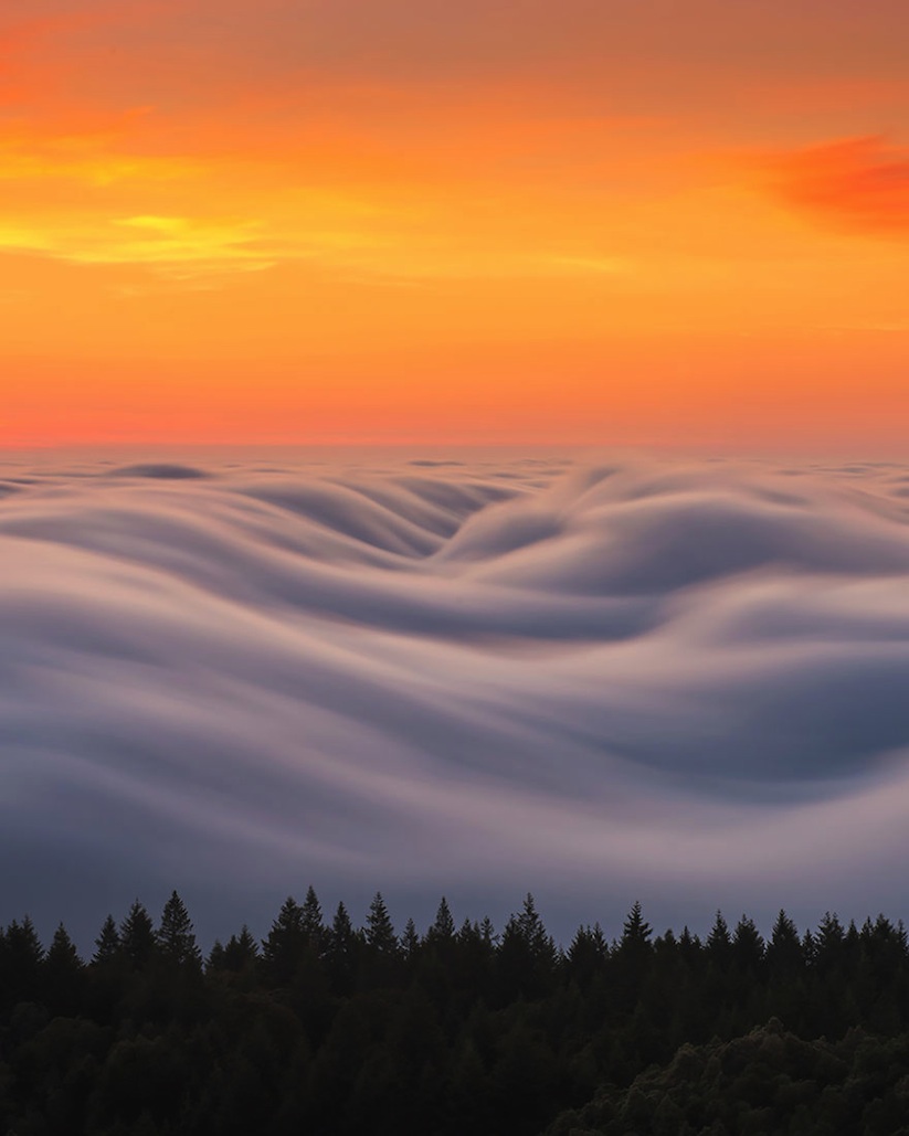 fogaholics_nick_steinberg_captures_fog_waves_around_the_san_francisco_area_2016_08