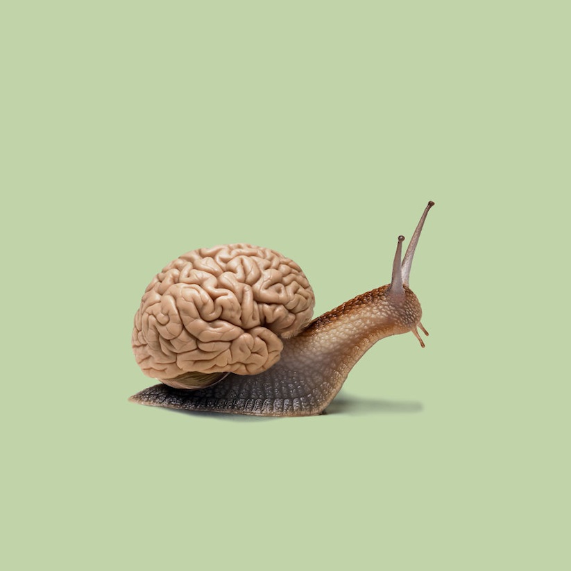 image_nation_artist_mohamed_el_nagdy_merges_two_non_related_objects_into_one_2016_01