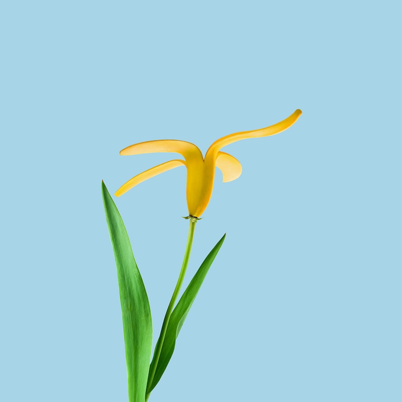 image_nation_artist_mohamed_el_nagdy_merges_two_non_related_objects_into_one_2016_02