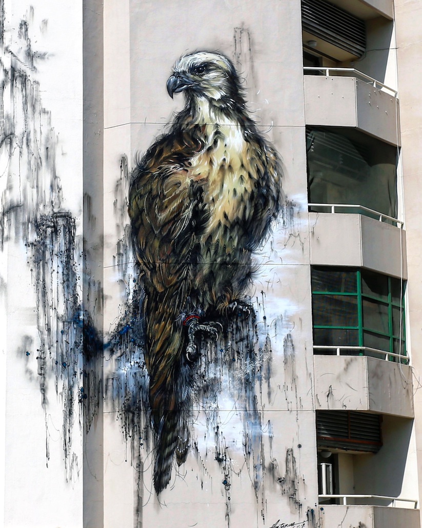 majestic_emirati_falcon_mural_by_hua_tunan_in_dubai_uae_2016_08