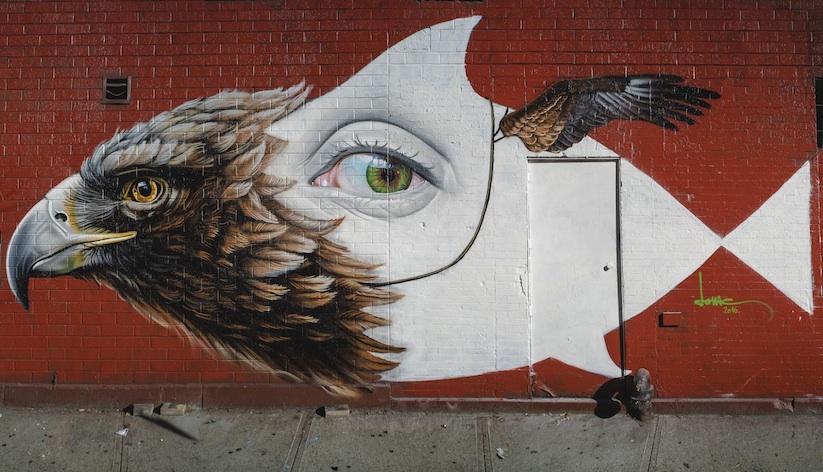 Strange_Bird_New_Mural_Artist_Lonac_in_NYC_2017_01