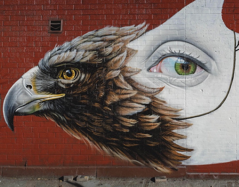 Strange_Bird_New_Mural_Artist_Lonac_in_NYC_2017_02