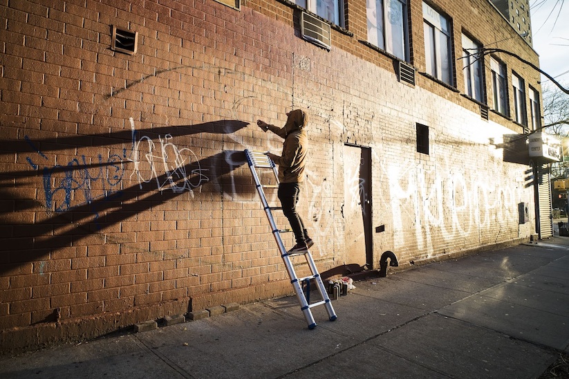 Strange_Bird_New_Mural_Artist_Lonac_in_NYC_2017_06