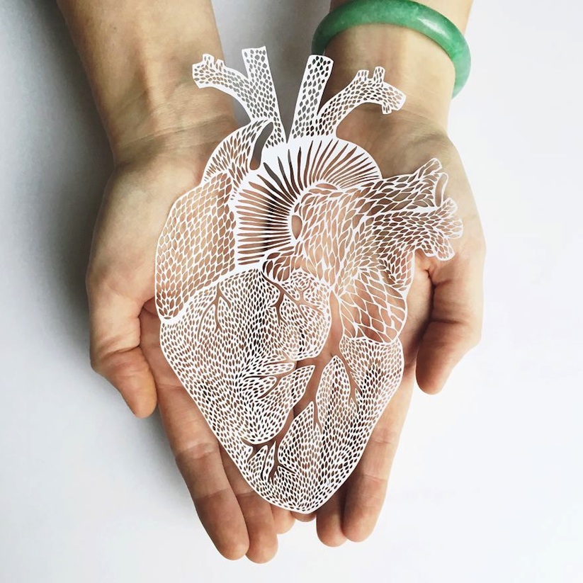 Organ_Collection_Hand_Cut_Paper_Art_by_Ali_Harrison_2017_01