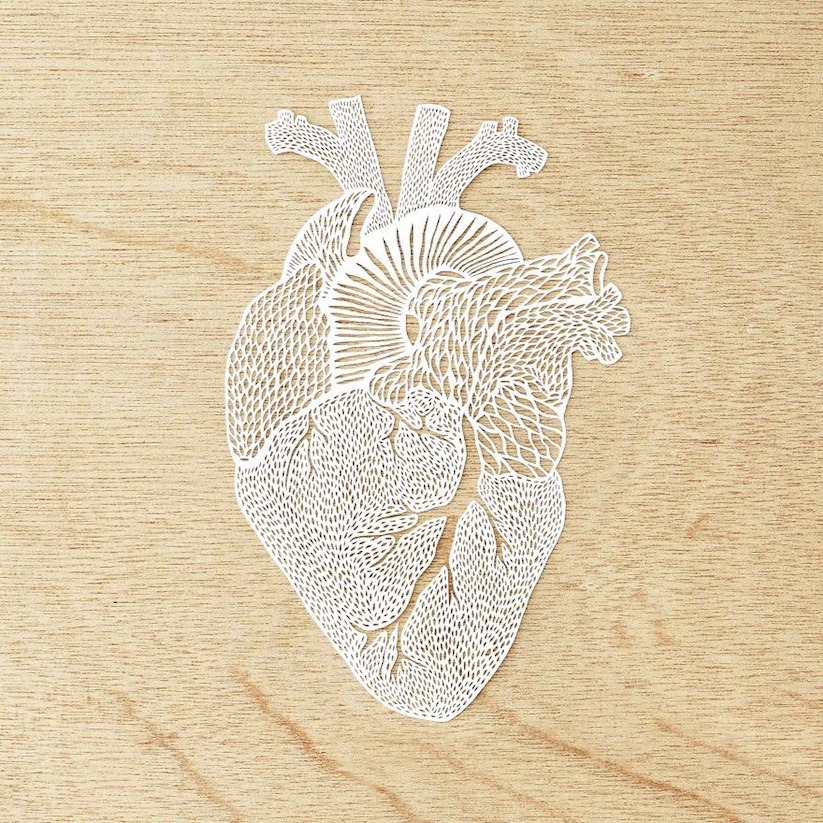 Organ_Collection_Hand_Cut_Paper_Art_by_Ali_Harrison_2017_07
