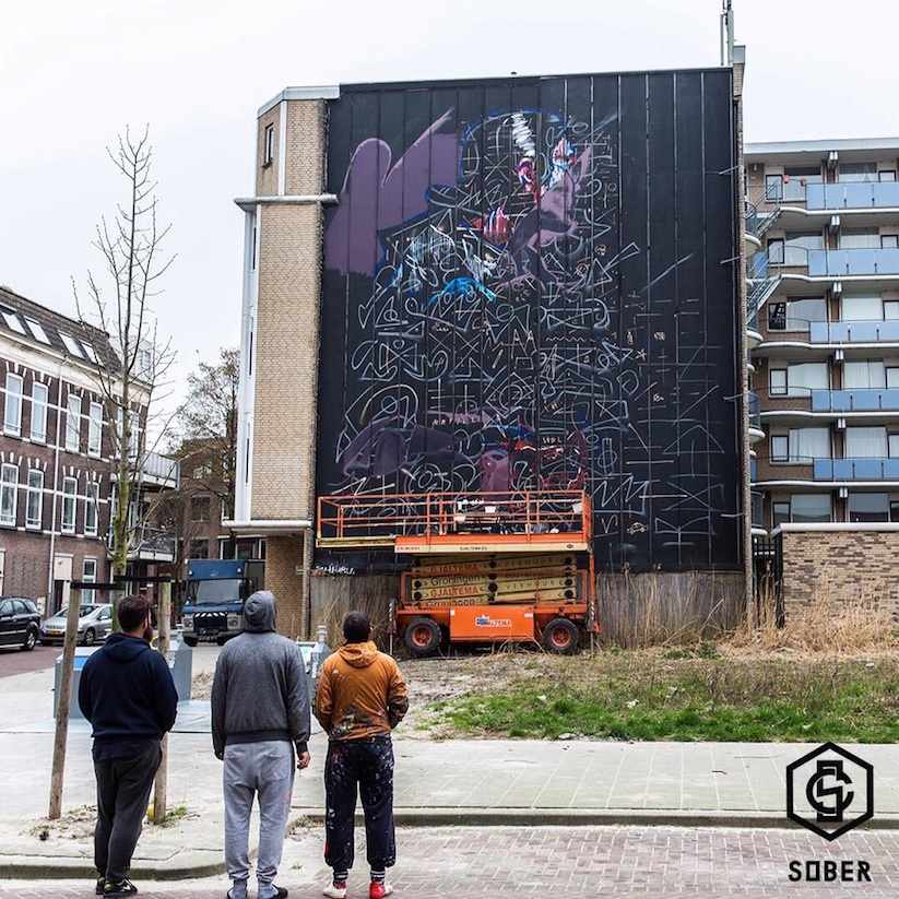 Collaboration_Mural_by_TELMO_MIEL_Sebas_Velasco_in_Rotterdam_2017_03