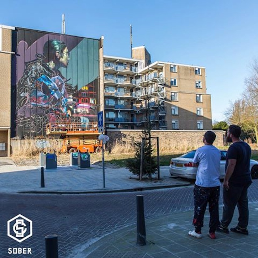 Collaboration_Mural_by_TELMO_MIEL_Sebas_Velasco_in_Rotterdam_2017_06