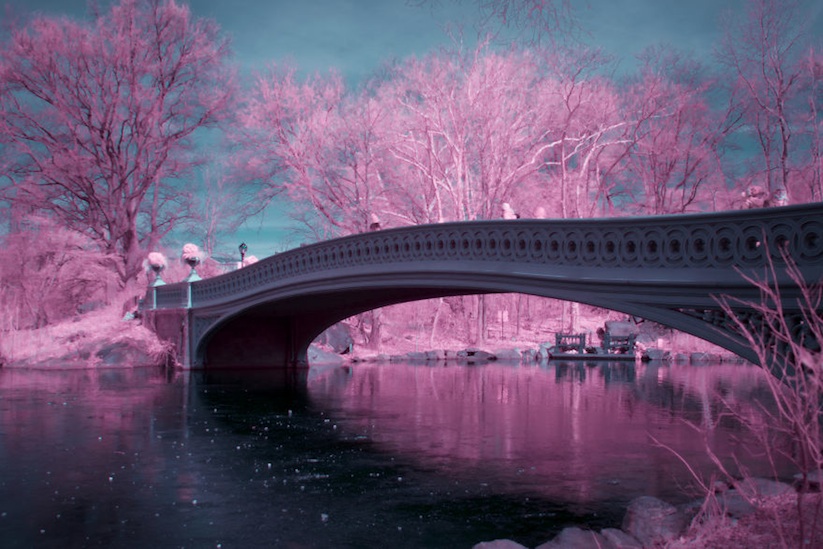 NYCxIR_New_York_City_Captured_in_Infrared_by_Ryan_Berg_2017_13
