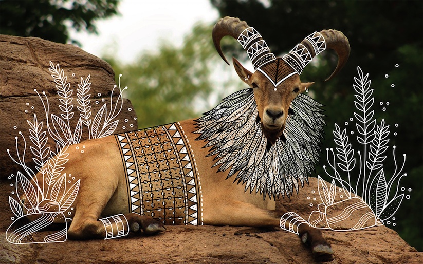 Rohan_Sharad_Dahotre_Dresses_Animals_With_Tribal_Doodles_2017_01