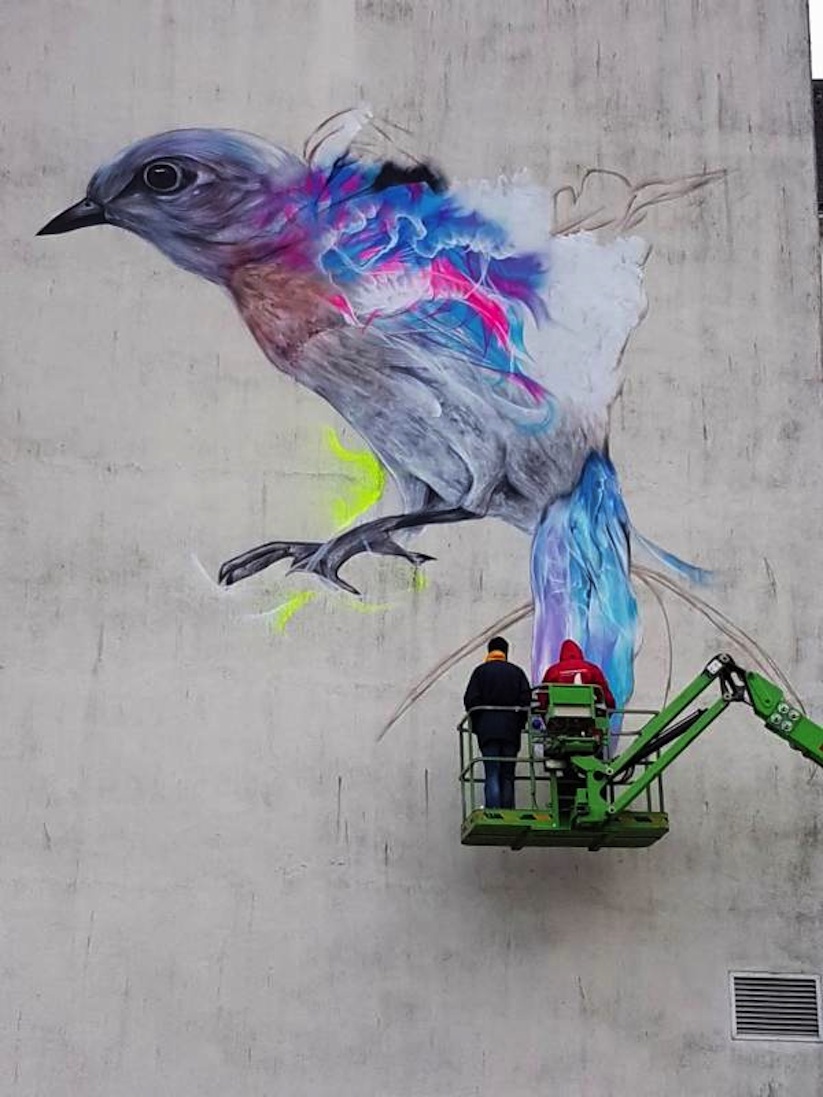 Graffiti_Bird_Mural_by_L7M_in_Vannes_France_2017_03