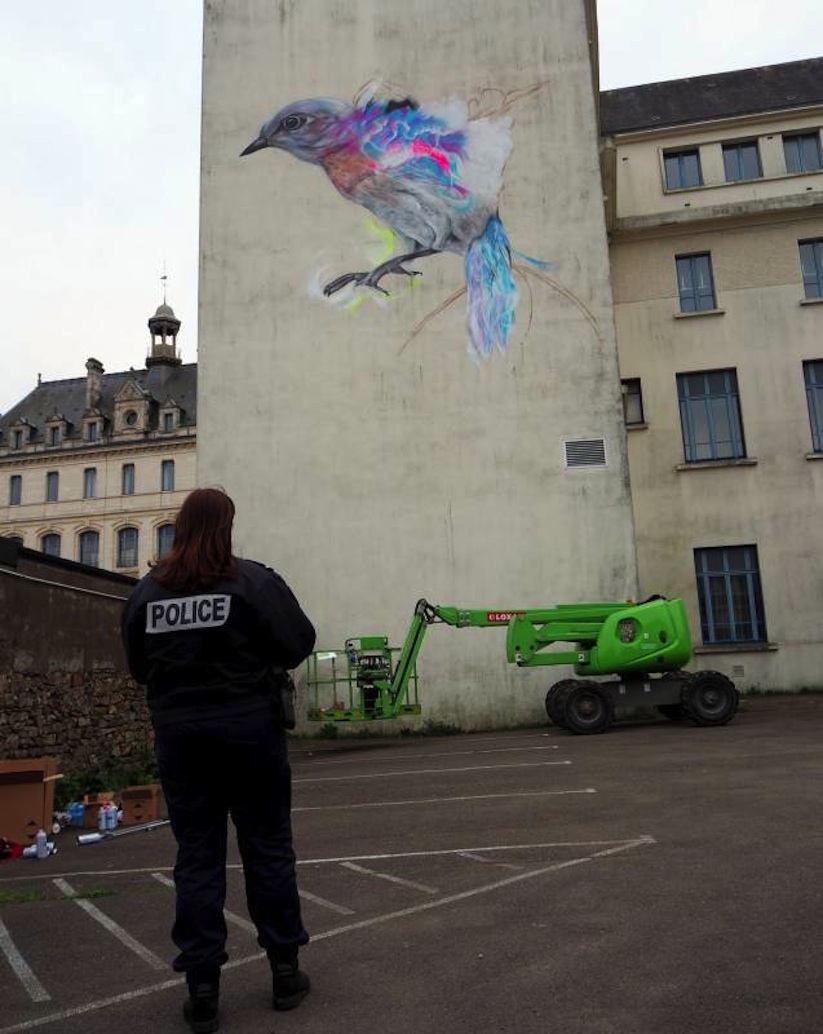Graffiti_Bird_Mural_by_L7M_in_Vannes_France_2017_04