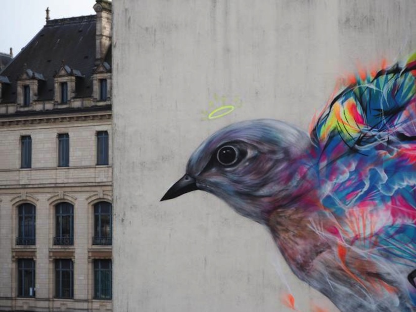 Graffiti_Bird_Mural_by_L7M_in_Vannes_France_2017_08
