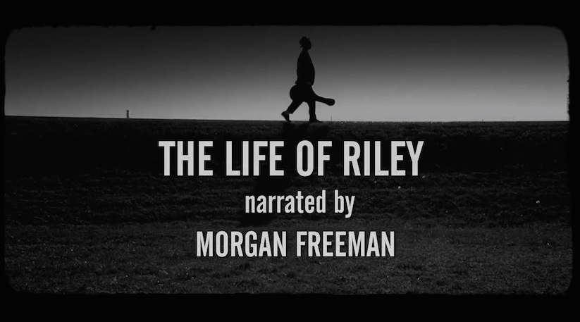 The Life of Riley. Drapht the Life of Riley. Live the Life of Riley. To Live / lead the Life of Riley.