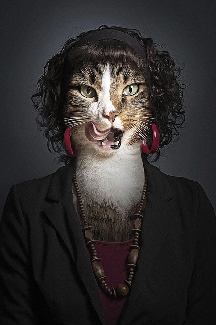  Underdogs Undercats By Photographer Sebastian Magnani