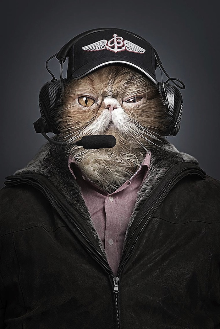  Underdogs Undercats By Photographer Sebastian Magnani