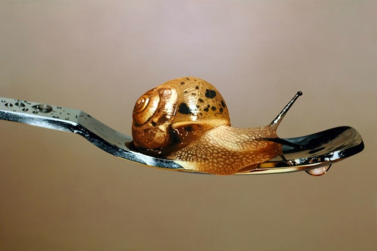 Hyperrealistic Oil Paintings of Frogs and Snails by Young-Sung Kim