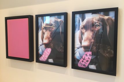 mb-ms-europa-2-art2sea-whudat-rob-pruitt-feels-like-love