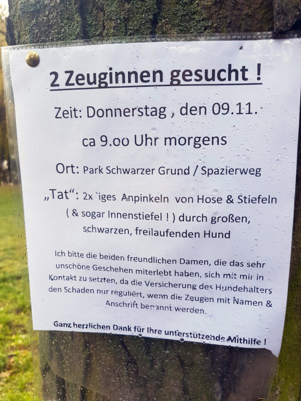 Angepist Angepist