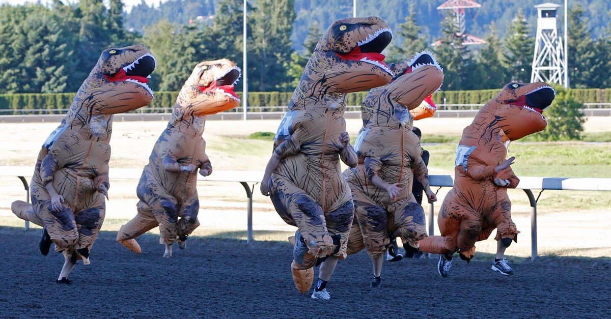 trex racing promo code 2015 trex racing promo code 2015