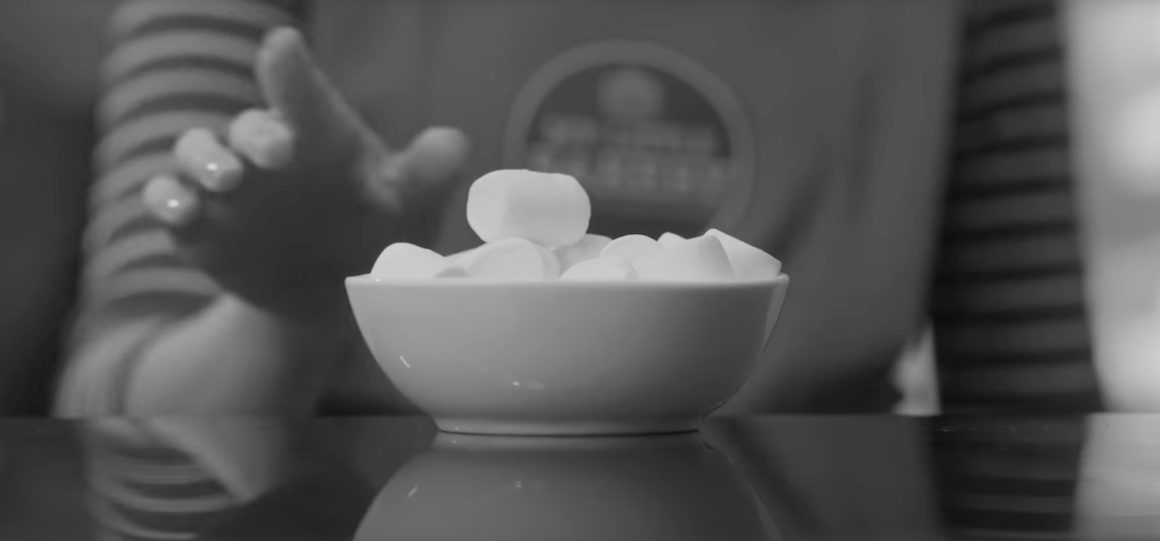 Marshmellow Experiment