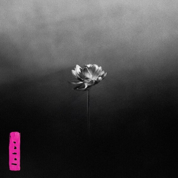 Little Simz Lotus